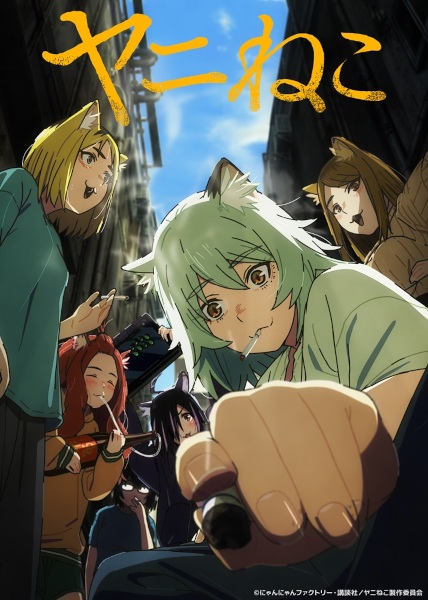 Yani Neko แมวสาวอมควัน ตอนที่ 1-3 ซับไทย